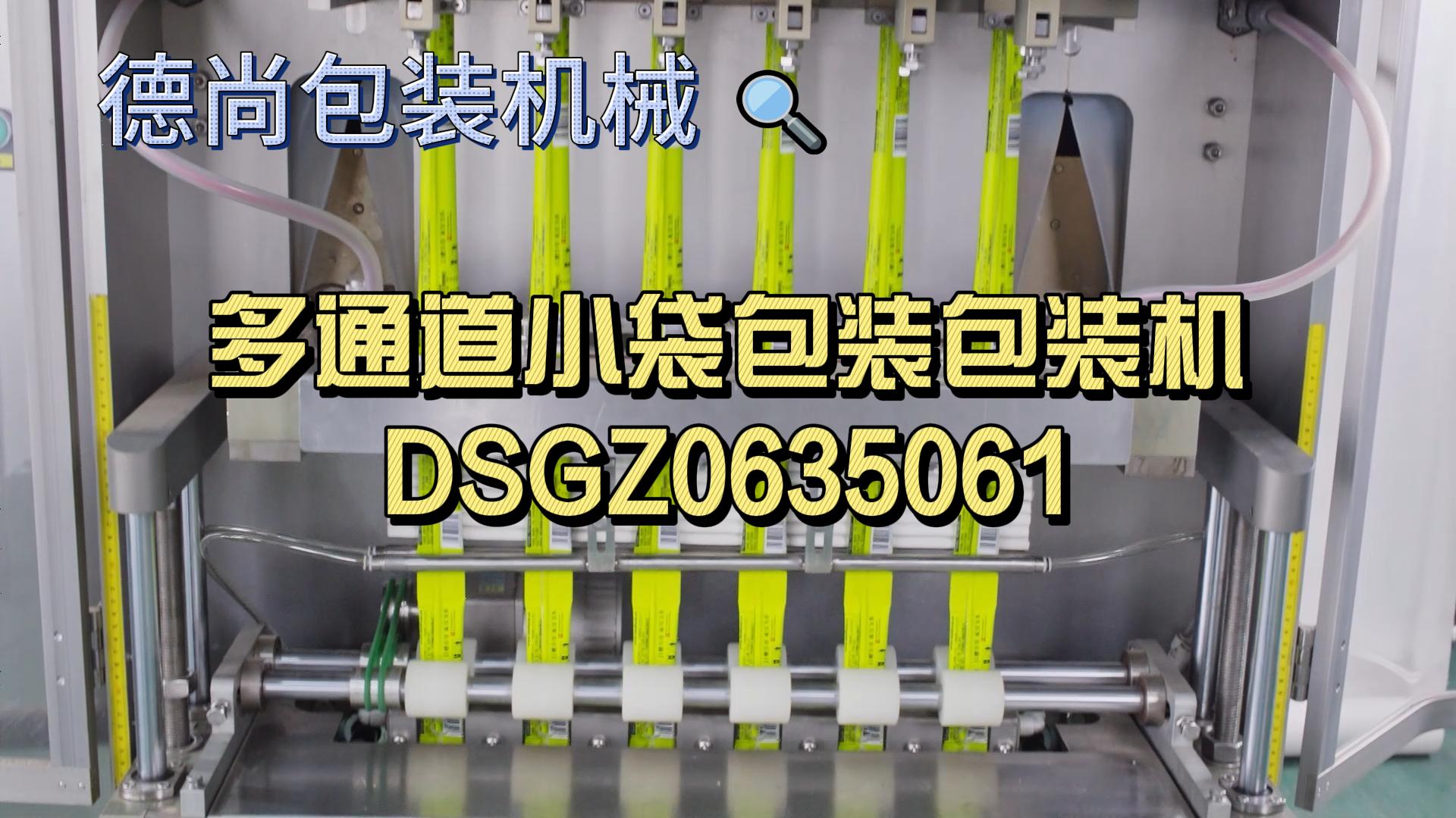 多通道小袋包装包装机 DSGZ635061